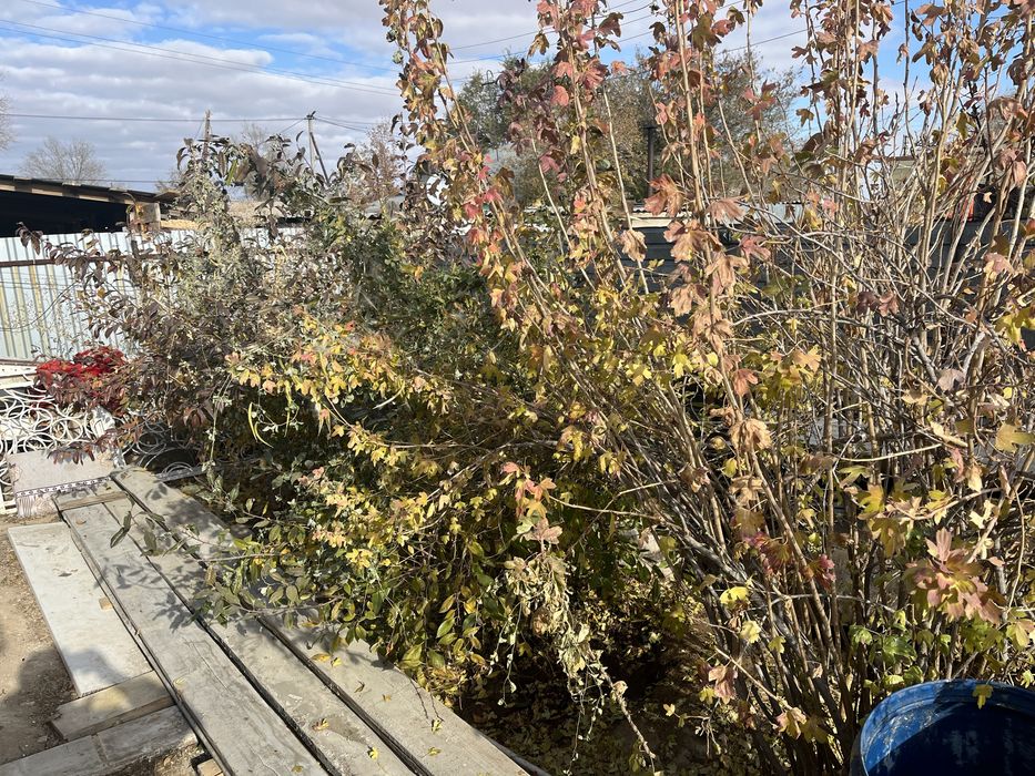 Продам дом или оьмен