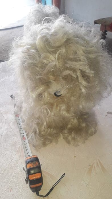 Игрушка СССР собачка продам