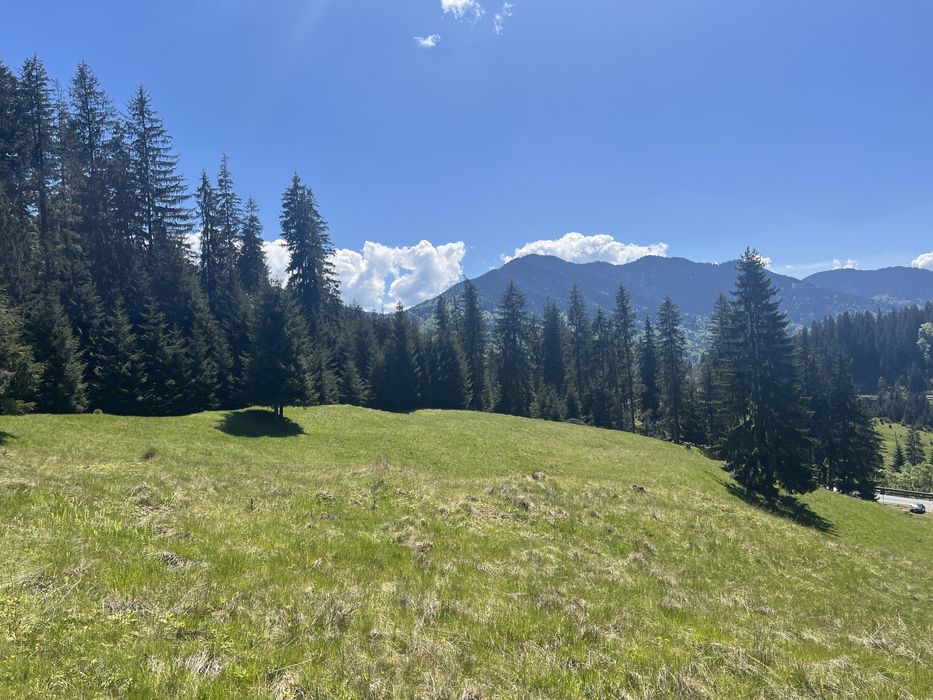 Teren de vanzare Tihuta