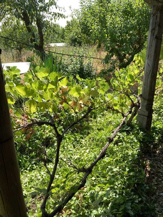 Продава се Къща в с. Писарово, Област Добрич - 45 кв.м за 136 €/кв.м - Снимка #12