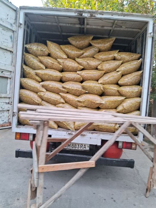 Silos donli va donsiz