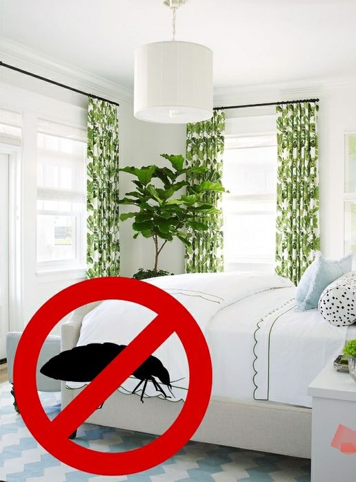 Дезинфекция дезенфекция дизенфекция dezenfeksiya dizinfeksiya dezinfe