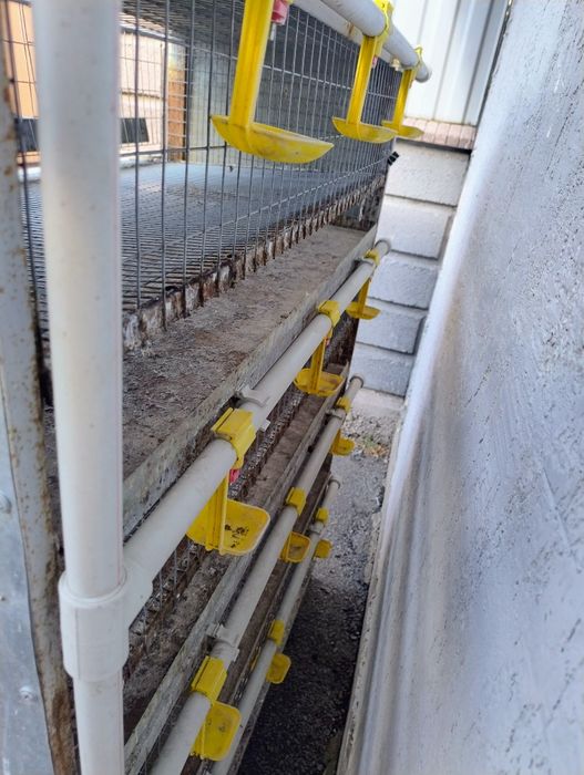 Клетка для перепелов