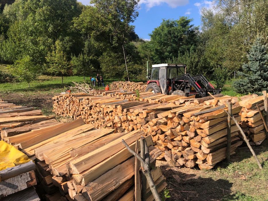 Lemne de foc FAG si Stejar - esenta tare