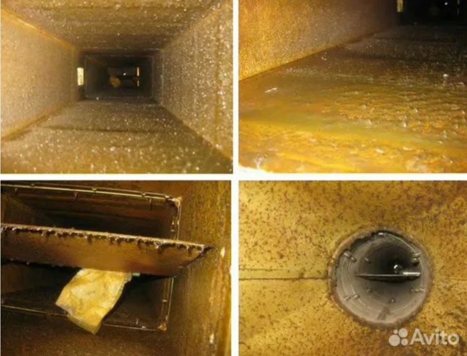 Бытовые услуги эндоскопа