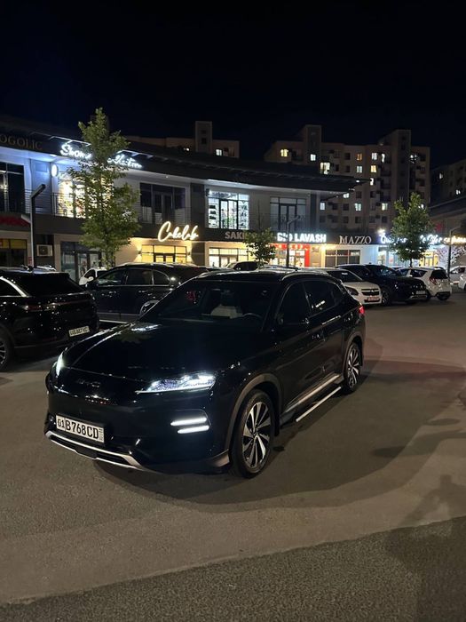 byd chenpiyon 605 ful 2024