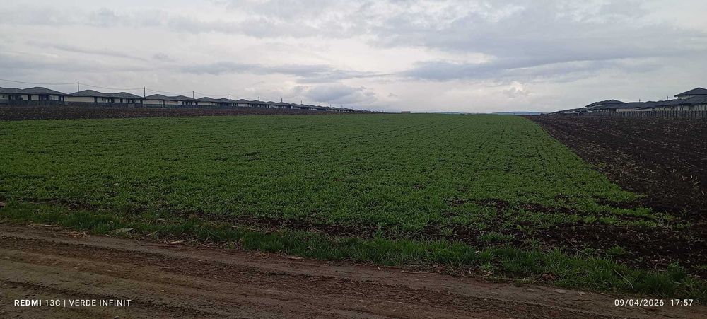 Teren Intravilan, Vorovesti 1 ha