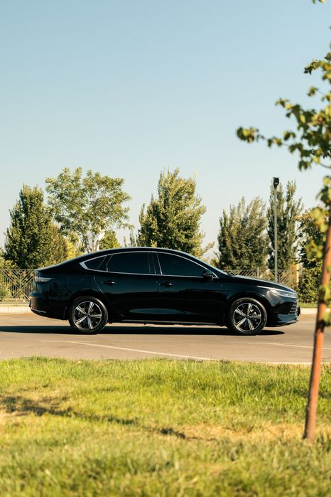 BYD Chazor Champion DM-i 55km Active