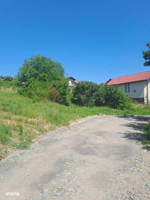 Teren intravilan 20 ari - strada Merilor