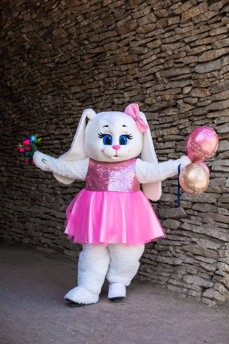 Мишка зайка, Кайрат Нуртас аниматоры