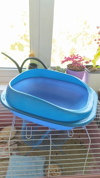 Продаётся лоток.