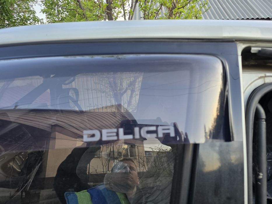 Ветровики делика широкие