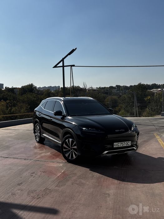 Byd chimpion 2024 top toza