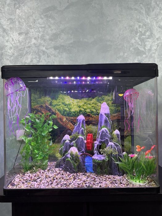 Заводские аквариумы от 10л ‼️‼️