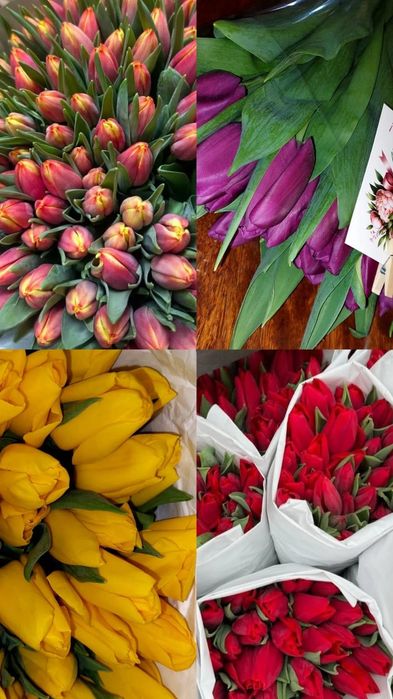 Лисаковск Тюльпаны к 8 Марта