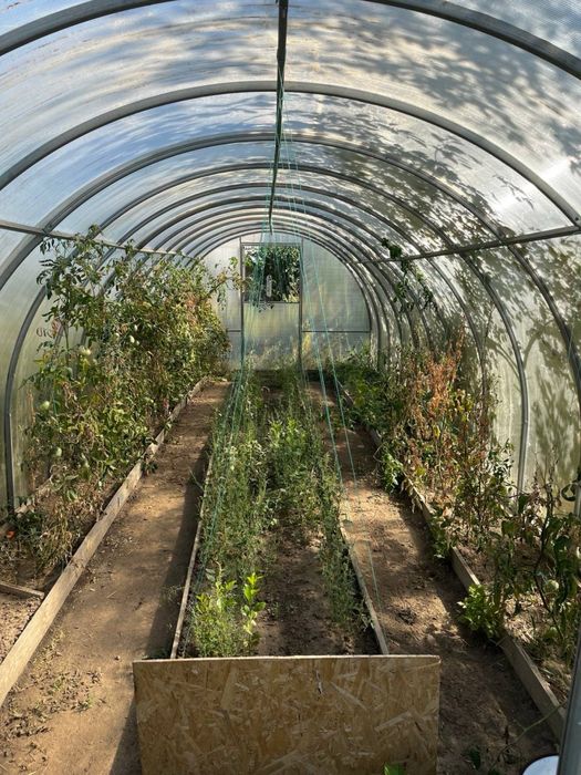 Теплица в хорошем состоянии