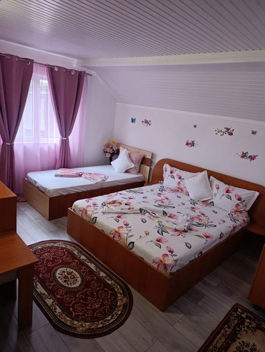 Camere de închiriat.