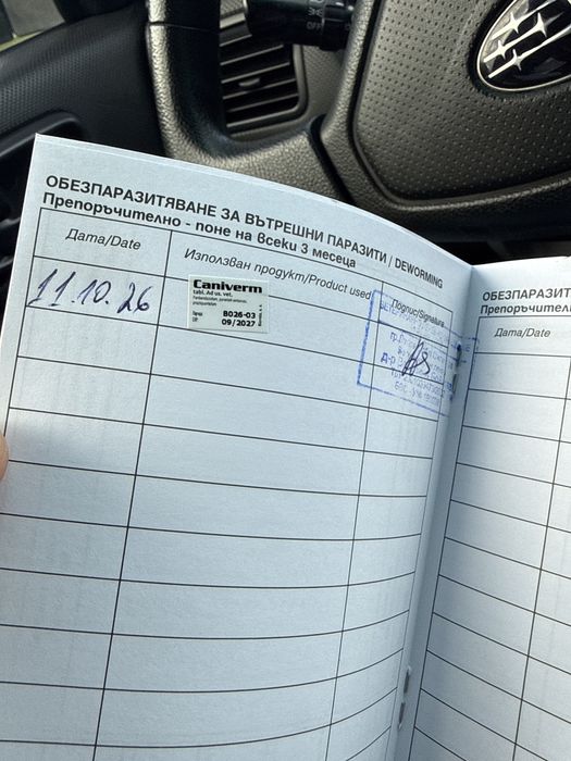 Белгийска овчарка
