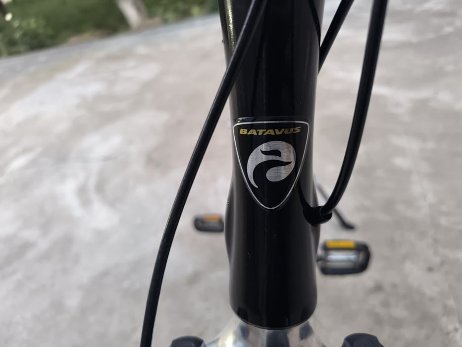 Batavus 28 Gollandiya maxsuloti