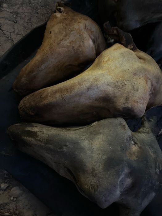 Қойдың басы 1500 тг ‼️‼️‼️