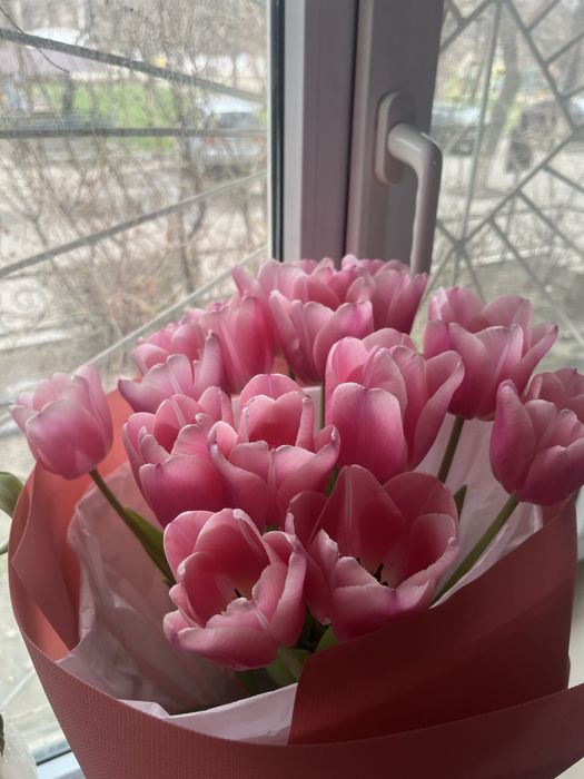 Продам цветы тульпаны 15 штук