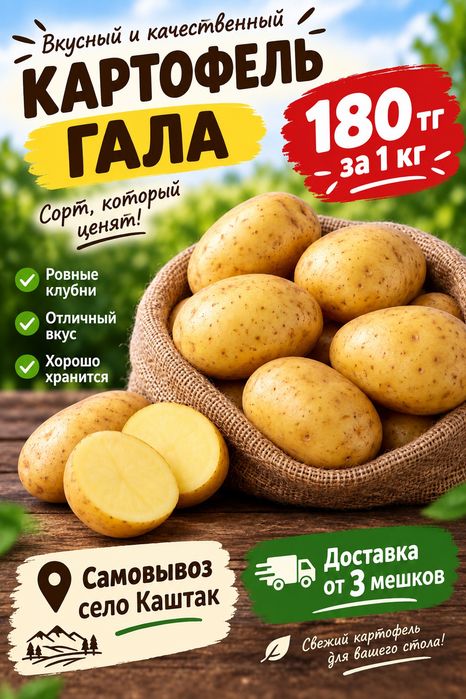 картофель на зиму
