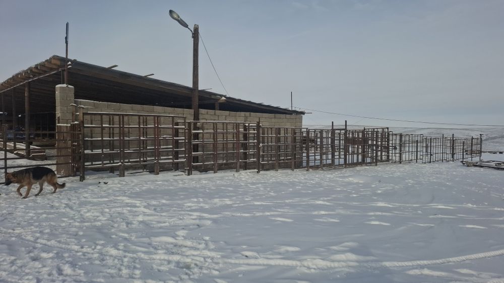 Фазенда сатылады