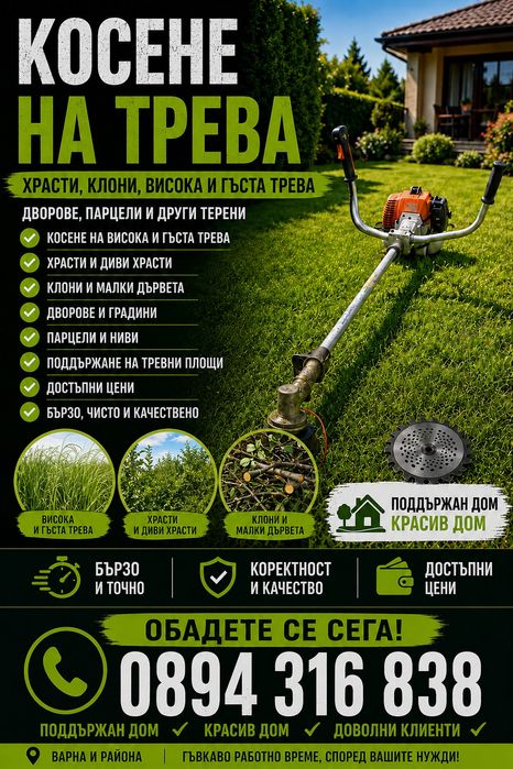 Транспортни услуги за Варна и страната