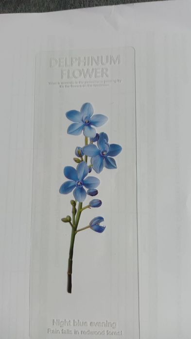 Закладки для книг