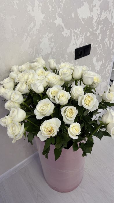 Свежий гул алып калыныздаар