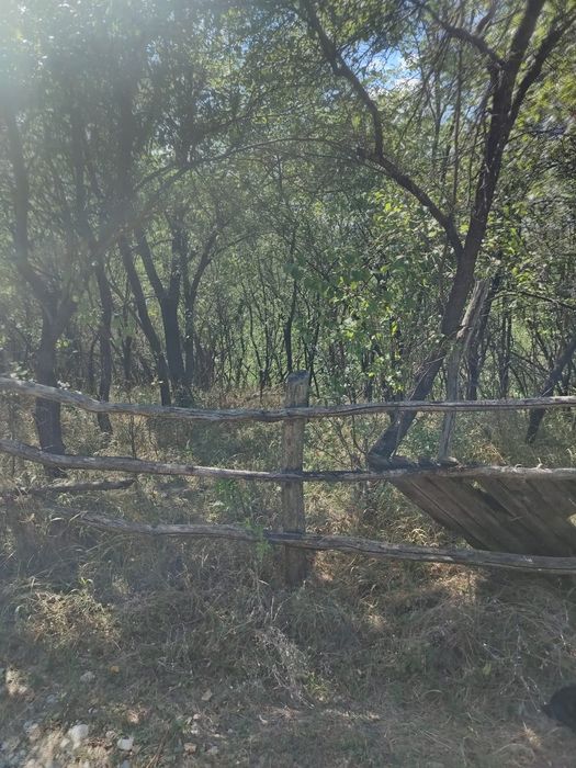 Vând casă ,com.Ladesti,sat.Olteanca, judetul Vâlcea