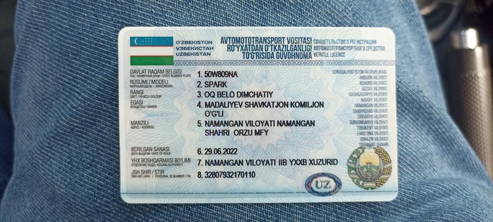 Spark 2018/2019 tozza