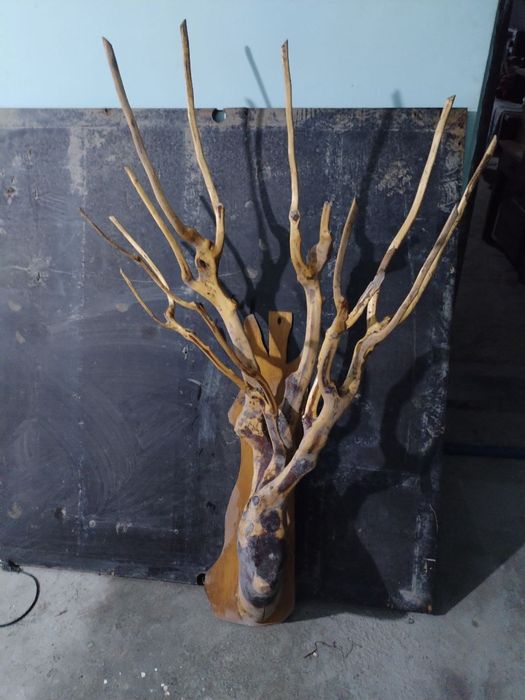 Рога из тутового дерева