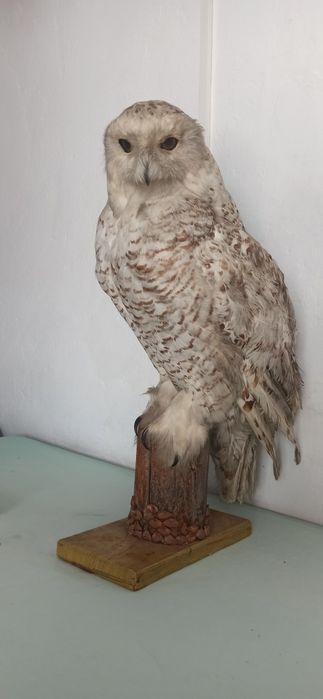 Всяко-разно! Для дома и не только.