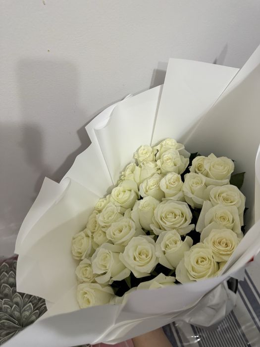 Цветы бу сегодня подарили