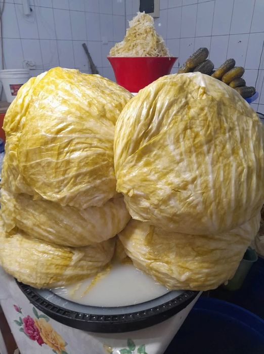 Varză murata în cantitate mare si mică