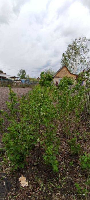 Дача 10 соток Общество «Ракета»