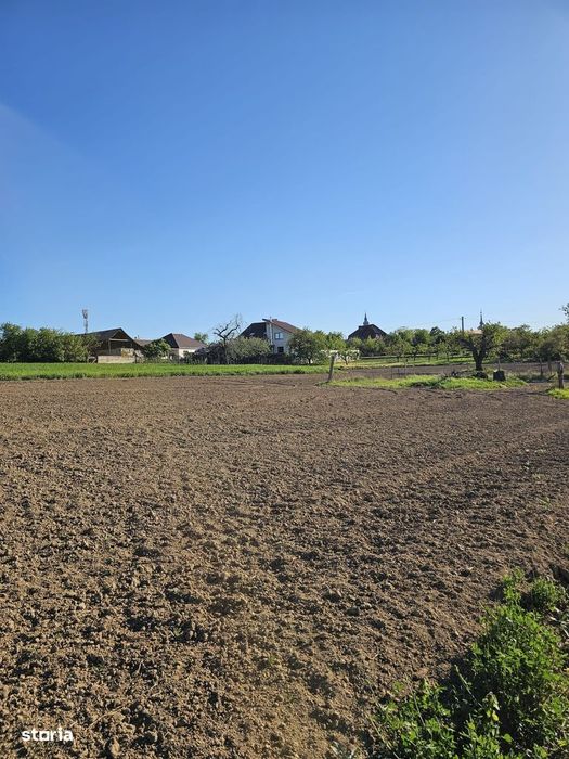 Teren intravilan Cetariu 5000 mp