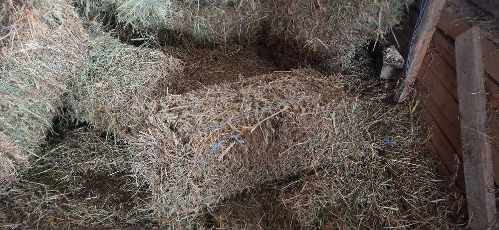 Furaje pentru animale - Baloti