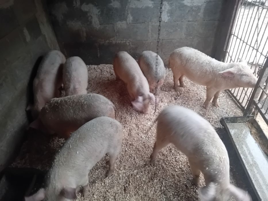 Schimba locatia.  Zero sapte 65031440