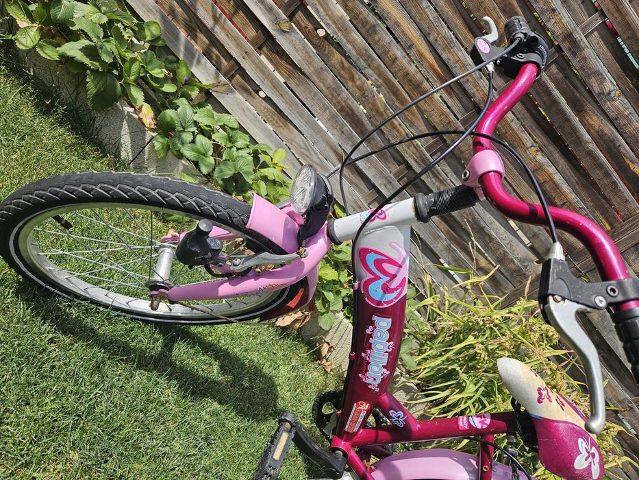 Bicicleta Papilon 20"