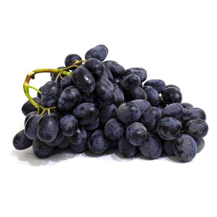 Ko'chat | Nixol | Кучат Оптом