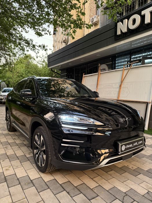 BYD Champion Smart 2025 yil