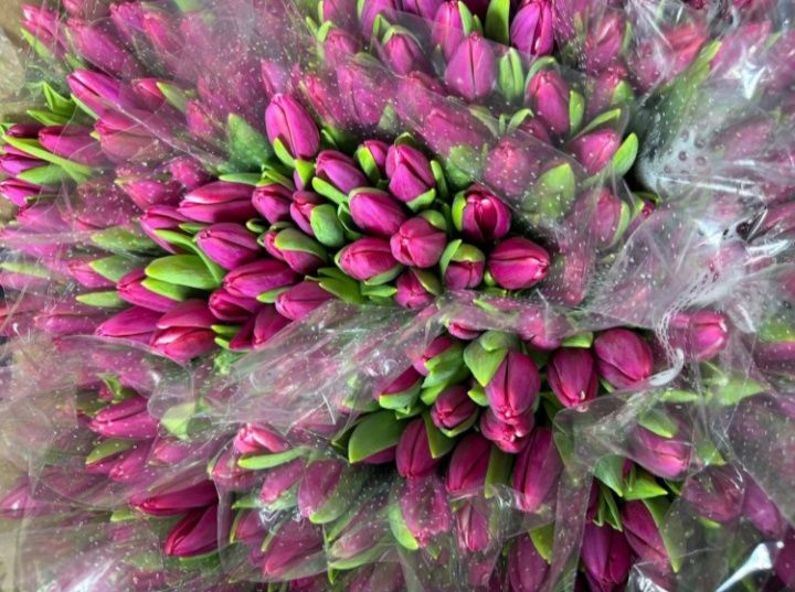 Тюльпаны на 8марта опт,розница