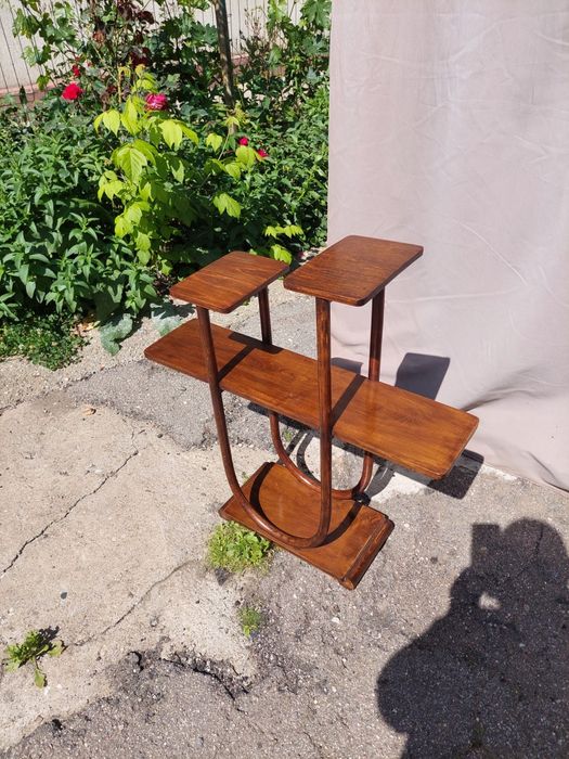 Pat flori Thonet Mudus Burolva