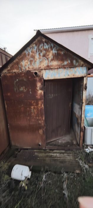 Курятник голубятник