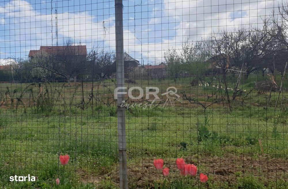 Teren intravilan de vanzare 850mp, strada Arinului