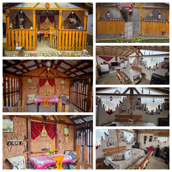 PROPRIETATE IDEALĂ DE PENSIUNE: 2 Case + Teren 1600mp, Retezat / Valea