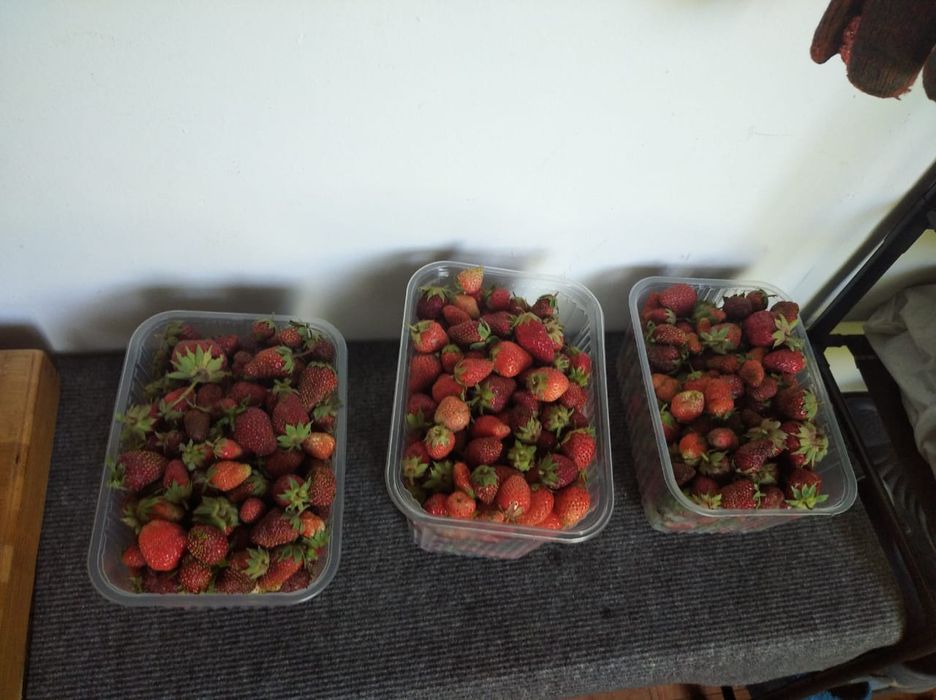 Срочно продам дачу в районе поселка Байтерек.