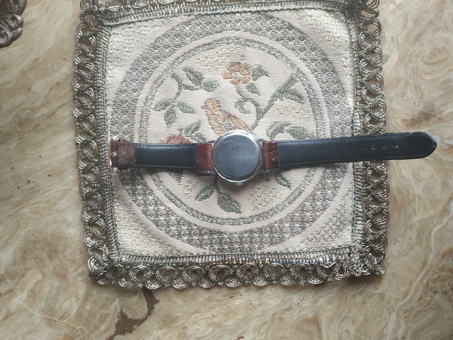 Ceas barbatesc Alpina Tropic Proof